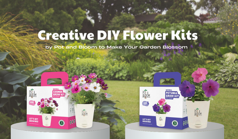 Creative DIY Flower Kits by Pot and Bloom to Make Your Garden Blossom