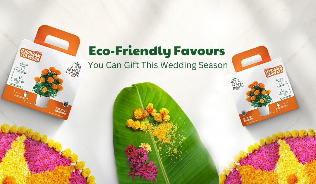 Eco-Friendly Favours You Can Gift This Wedding Season