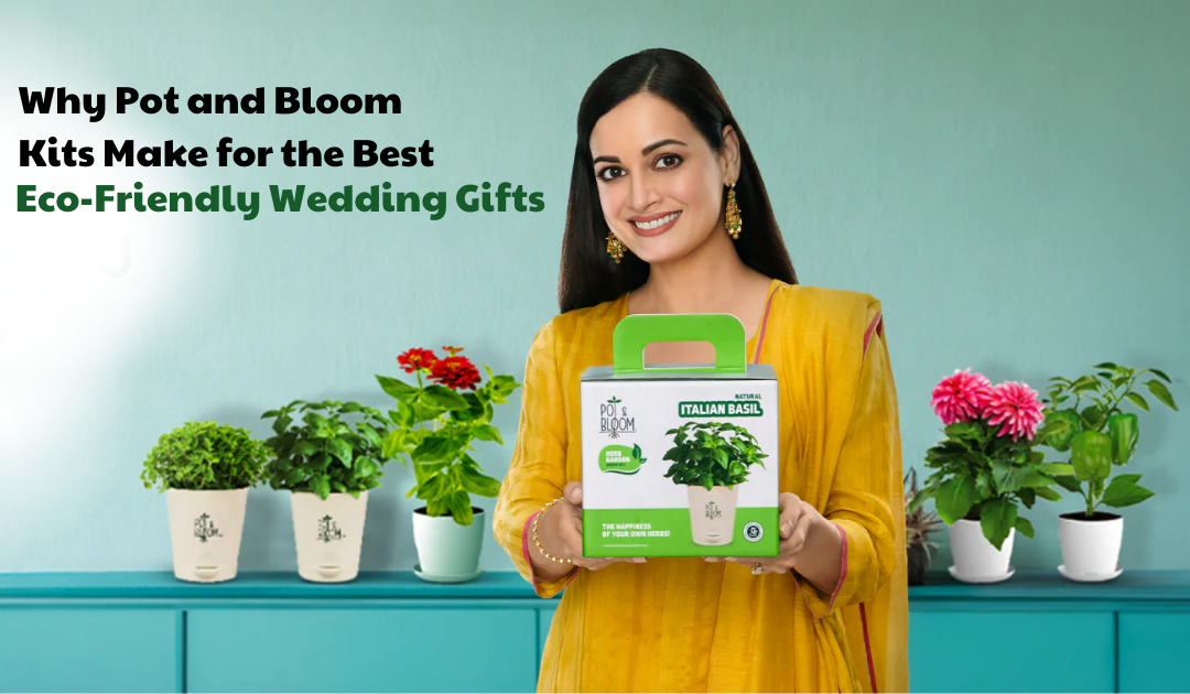 Why Pot and Bloom Kits Make for the Best Eco-Friendly Wedding Gifts