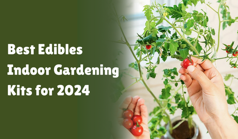 Best Edibles Indoor Gardening Kits for 2024