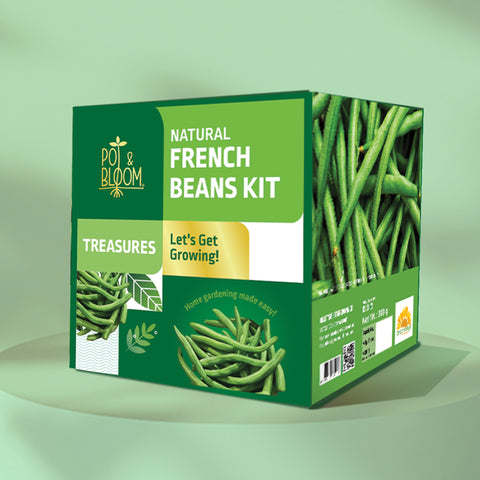 Treasures French Beans Grow Kit