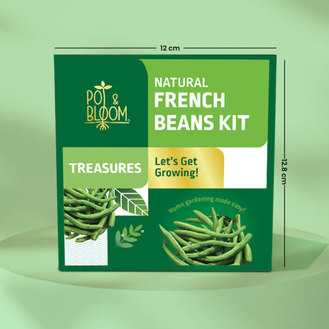 Treasures French Beans Grow Kit