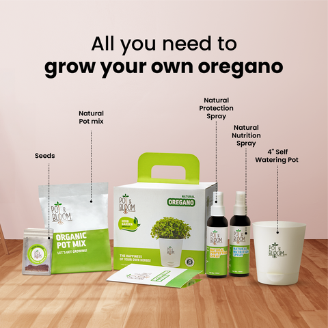 Oregano Kit