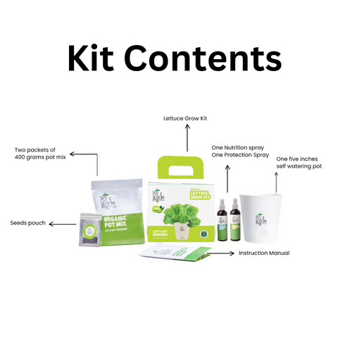 Lettuce Grow Kit