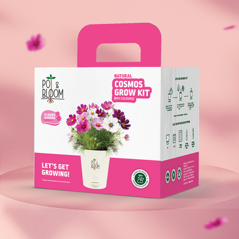 Flower Grow Kits