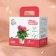 Dahlia Grow Kit