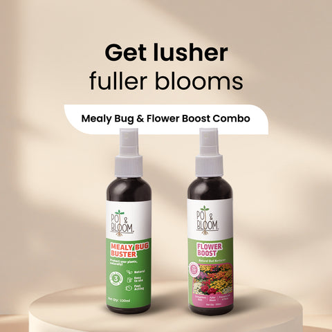 Mealy Bug Buster + Flower Boost 100 ml