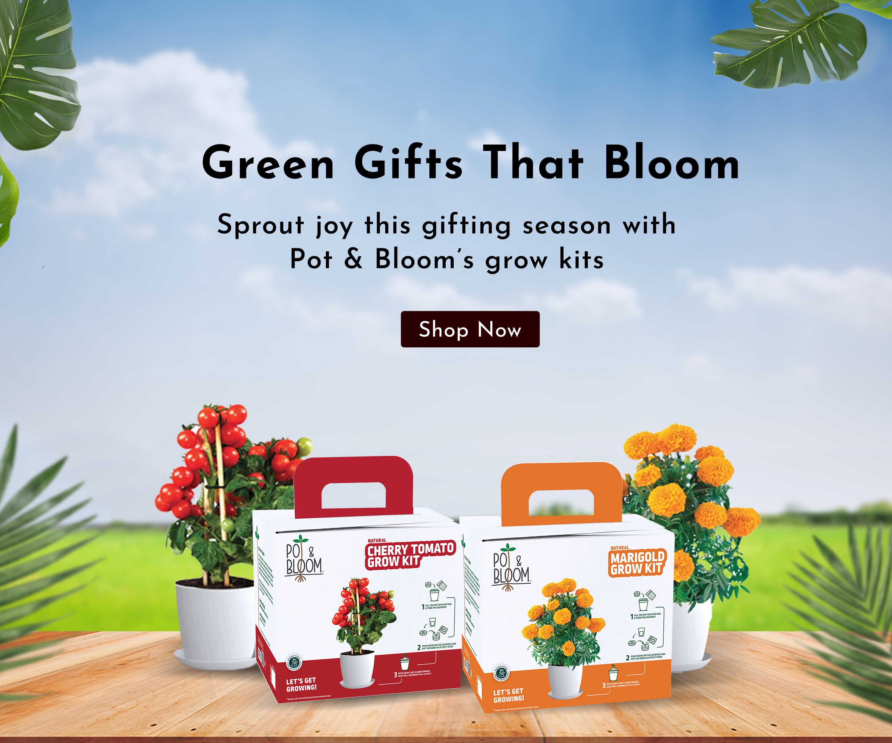 Wholesome Blooms, The Perfect Gifts For Dad - Father's Day 2023