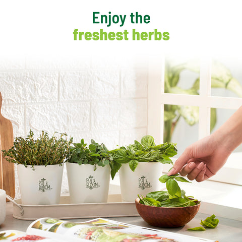 Herb Combo Grow Kit