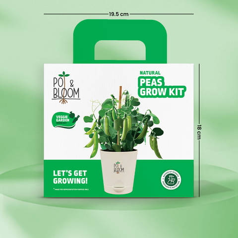 Peas Grow Kit