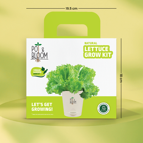 Lettuce Grow Kit