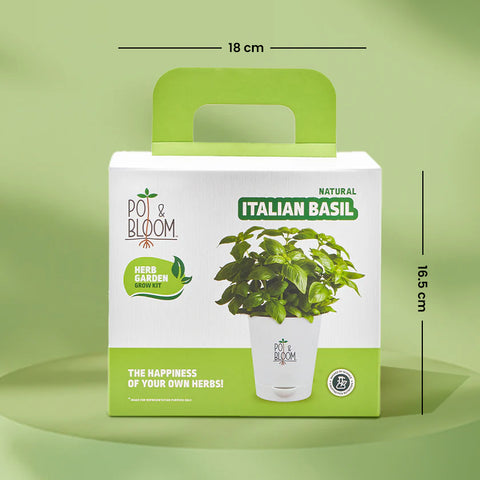 Italian Basil Kit