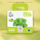 Lettuce Grow Kit