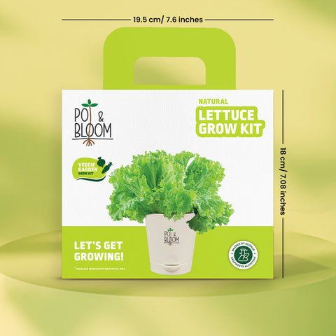 Lettuce Grow Kit