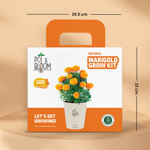 Marigold Grow Kit (Big)