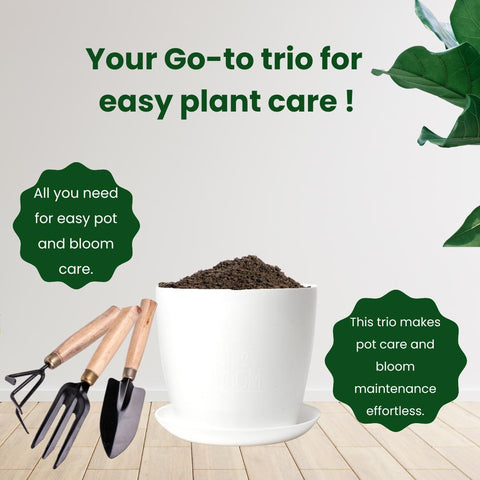 Gardening Tools- Set of 3