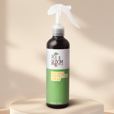 Nutrition Spray + Protection Spray + Mealy Bug 500 ml