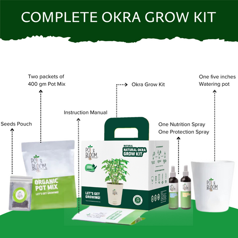 Okra Grow Kit  (medium)