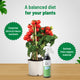 Plant Nutrition Spray