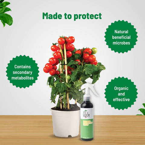 Protection Spray 100 ml