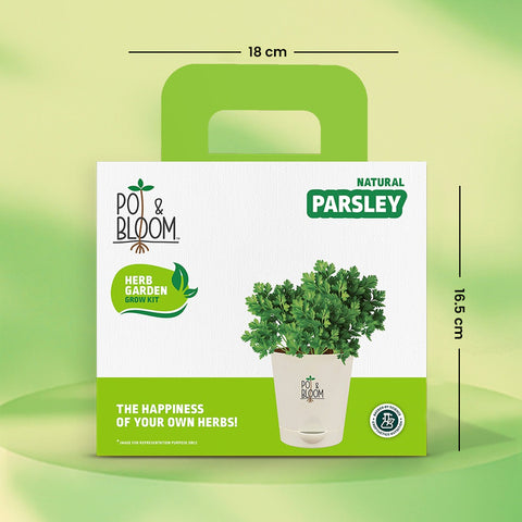 Parsley Grow Kit