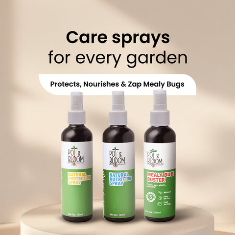 Nutrition Spray + Protection Spray + Mealy Bug 100 ml