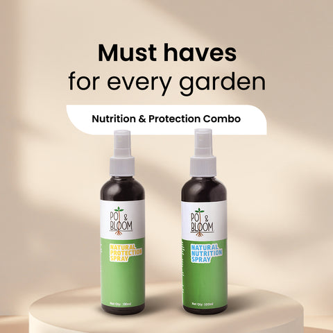 Nutrition and Protection Spray Combo 100ml