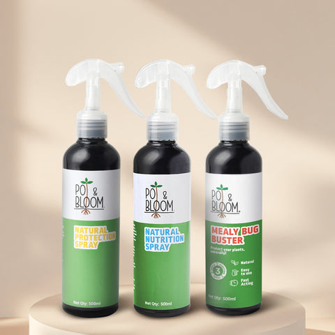 Nutrition Spray + Protection Spray + Mealy Bug 500 ml