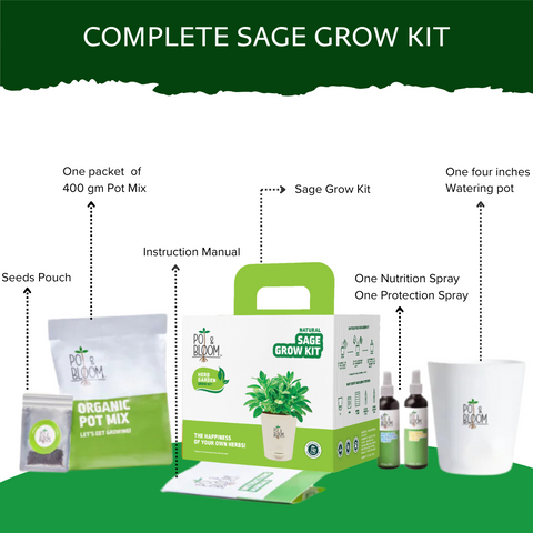 Sage Grow Kit