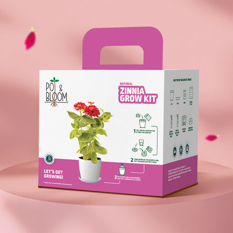 Zinnia Grow Kit