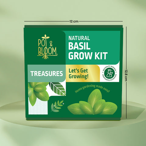 Treasures Basil Kit