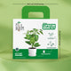 Capsicum Grow Kit (Big)