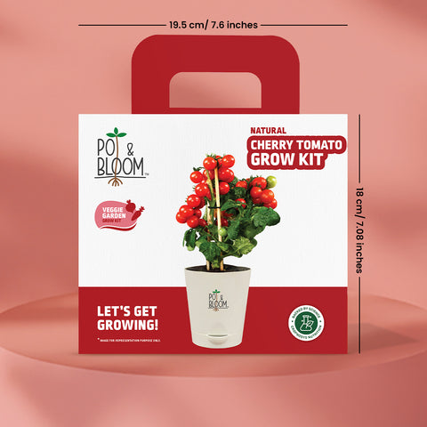 Cherry Tomato Grow Kit (medium)