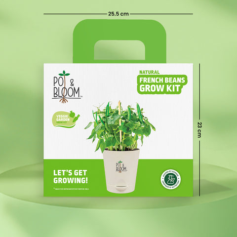 French Beans Grow Kit  (medium)