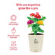 Zinnia Grow Kit  (Medium)