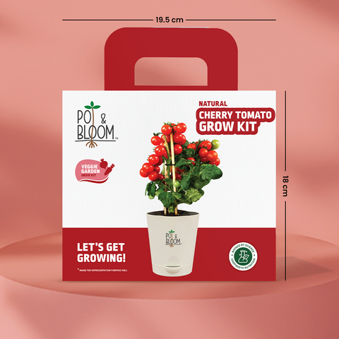 Cherry Tomato Grow Kit (medium)