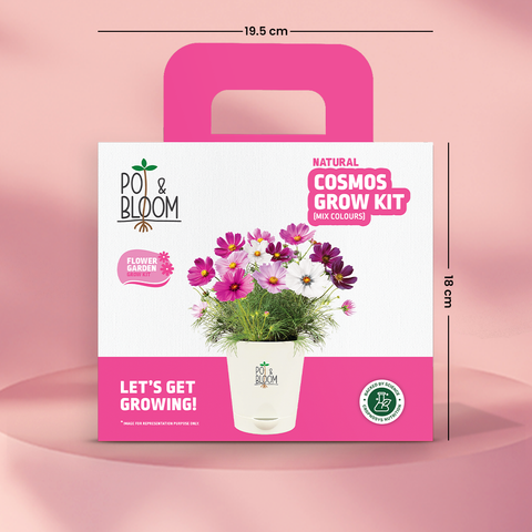 Cosmos Grow Kit