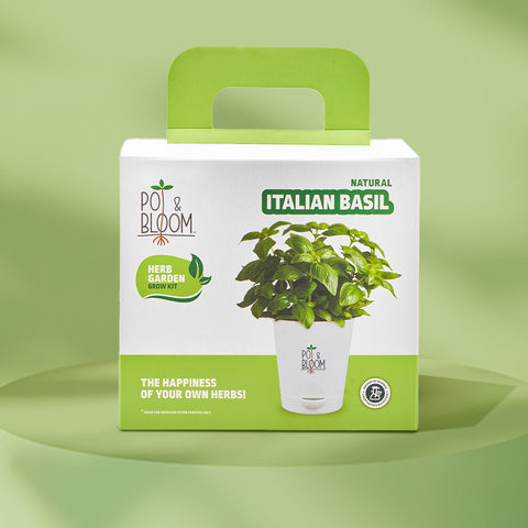 Italian Basil Kit