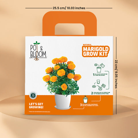 Marigold Grow Kit (Big)