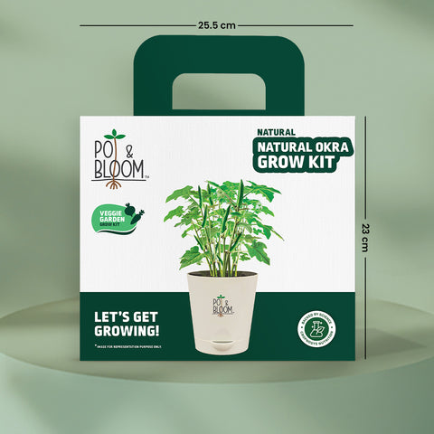 Okra Grow Kit  (medium)