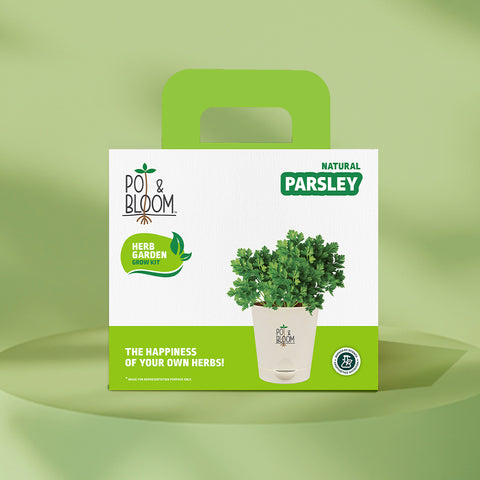 Parsley Grow Kit