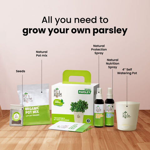 Parsley Grow Kit