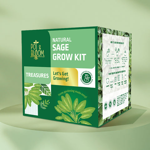 Treasures Sage Grow Kit