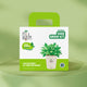 Sage Grow Kit