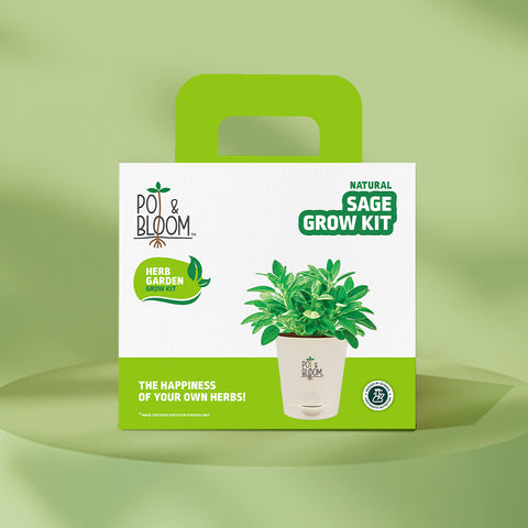 Sage Grow Kit