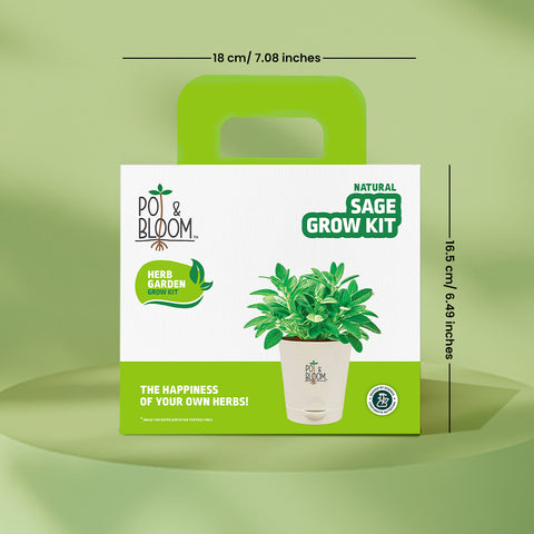 Sage Grow Kit