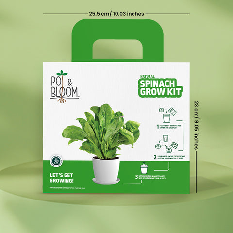 Spinach Grow Kit (Big)