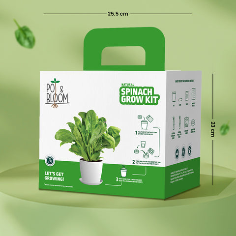 Spinach Grow Kit