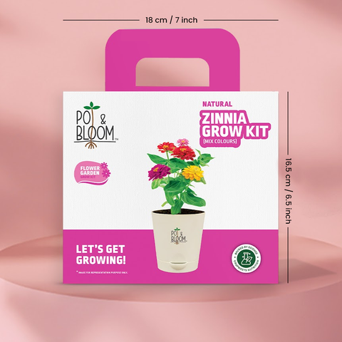 Zinnia Grow Kit