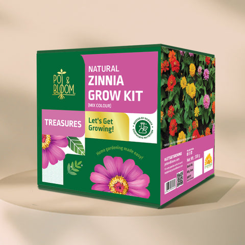 Treasures Zinnia Grow Kit